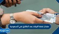 مقدار نفقة الاولاد بعد الطلاق في السعودية