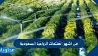 من اشهر المنتجات الزراعية السعودية