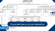 من المشتقات تدل على من فعل الفعل فمن أنا