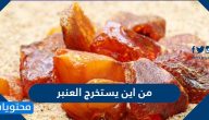 من اين يستخرج العنبر وما هي صفات العنبر الطبيعي