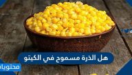 هل الذرة مسموح في الكيتو