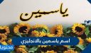 اسم ياسمين بالانجليزي وحكم تسميته في الإسلام وصفات حاملة الاسم