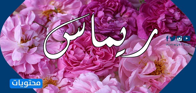 معنى اسم ريماس في العربية والفارسية وصفات حاملة الاسم موقع محتويات