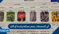 أي المصنفات يضم مملكة واحدة أو أكثر