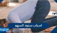 اسباب سجود السهو وحكمه ومحل السجود