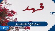 اسم فهد بالانجليزي ومعناه وصفات حامل الاسم