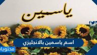 اسم ياسمين بالانجليزي وحكم تسميته في الإسلام وصفات حاملة الاسم