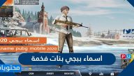 اسماء ببجي بنات فخمة 2025