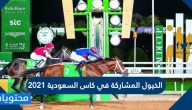 الخيول المشاركة في كاس السعودية 2021 وقيمة جوائز المسابقة