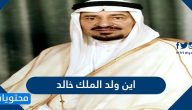 اين ولد الملك خالد وأهم الإنجازات في فتره حكمه