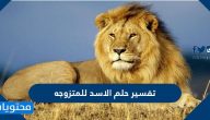 تفسير حلم الاسد للمتزوجه في المنام
