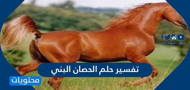 تفسير حلم الحصان البني يهاجمني للعزباء : ØªØ¹Ø±Ù Ø¹Ù„Ù‰ ØªÙ Ø³ÙŠØ± Ø­Ù
