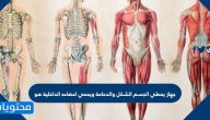 جهاز يعطي الجسم الشكل والدعامة ويحمي اعضاءه الداخلية هو