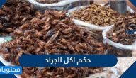 حكم اكل الجراد وفوائده وأضراره على صحة الإنسان