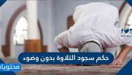 حكم سجود التلاوة بدون وضوء