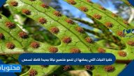 خلايا النبات التي يمكنها ان تنمو فتصبح نباتا جديدا كاملا تسمى
