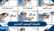 طريقة الوضوء الصحيح