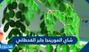 طريقة شاي المورينجا جابر القحطاني