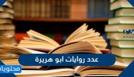 عدد روايات ابو هريرة واسلام ابو هريرة وأهم صفاته