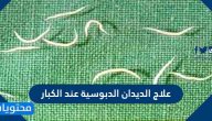 ما هي طرق علاج الديدان الدبوسية عند الكبار