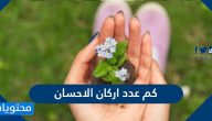 كم عدد اركان الاحسان
