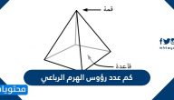 كم عدد رؤوس الهرم الرباعي
