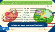 لا تصنع الخلايا الحيوانية غذائها بنفسها لانها تفتقر إلى