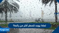 لماذا يوجد للمطر أكثر من رائحة