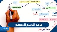 ما هو الاسم المقصور وشرح درس الاسم المقصور