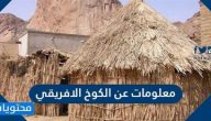 معلومات عن الكوخ الافريقي