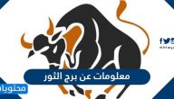 معلومات عن برج الثور وصفاته الإيجابية والسلبية وعلاقته مع الحب بالتفصيل