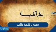 معنى كلمة دائب