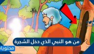 من هو النبي الذي دخل الشجرة