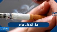 هل الدخان حرام