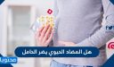 هل المضاد الحيوي يضر الحامل والجنين في فترة الحمل