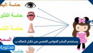 يستخدم البشر الحواس الخمس من خلال اتصاله ب