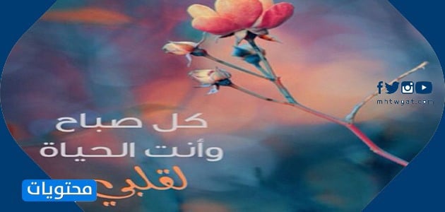 صباح الخير 2021 أجمل صور وعبارات وكلمات صباحية