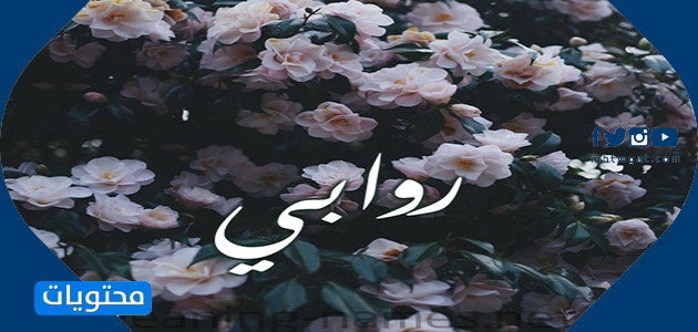 معنى اسم روابي وصفات حامل الاسم وحكم تسميته في الإسلام - موقع محتويات