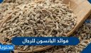 فوائد اليانسون للرجال والنساء بالتفصيل