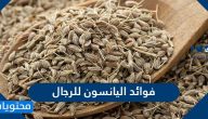فوائد اليانسون للرجال والنساء بالتفصيل