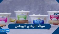 فوائد الزبادي اليوناني للصحة البشرة والشعر
