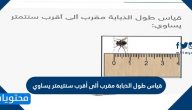 قياس طول الذبابة مقرب إلى أقرب سنتيمتر يساوي