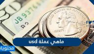 ماهي عملة usd