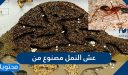 عش النمل مصنوع من
