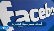 أسماء فيس بوك انجليزية 2025 جديدة للشباب والبنات