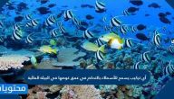 أي تركيب يسمح للأسماك بالتحكم في عمق غوصها في البيئة المائية