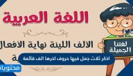 اذكر ثلاث جمل فيها حروف اخرها الف قائمة