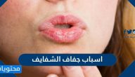 ما هي اسباب جفاف الشفايف وما طرق علاجها والاعراض التي تستدعي زيارة الطبيب