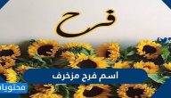 اسم فرح مزخرف ومعناه وصفات حاملة الاسم