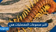 اكبر مجموعات المفصليات هي